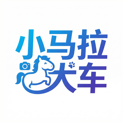 小马拉大车